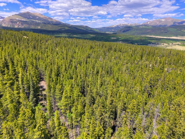 2221 Kootchie Kootchie Rd, Alma, CO 80420 - photo 2