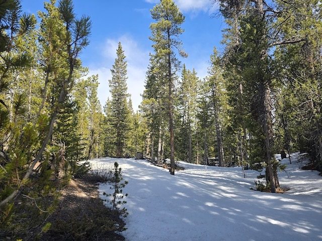 2221 Kootchie Kootchie Rd, Alma, CO 80420