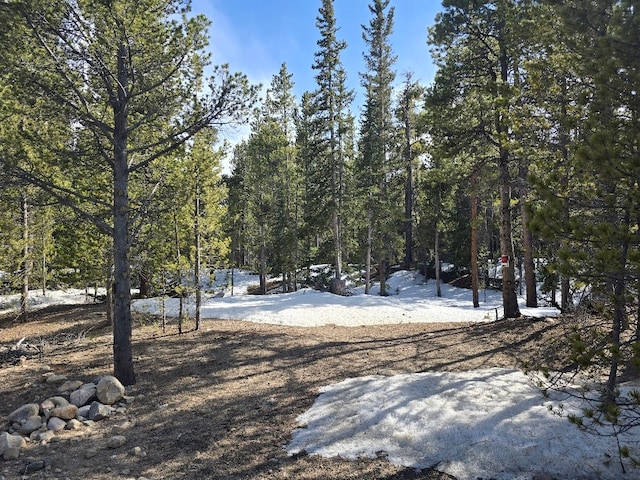 2221 Kootchie Kootchie Rd, Alma, CO 80420