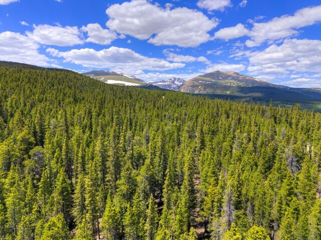 2221 Kootchie Kootchie Rd, Alma, CO 80420 - photo 1