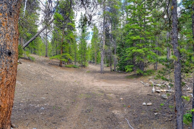 2221 Kootchie Kootchie Rd, Alma, CO 80420 - photo 17