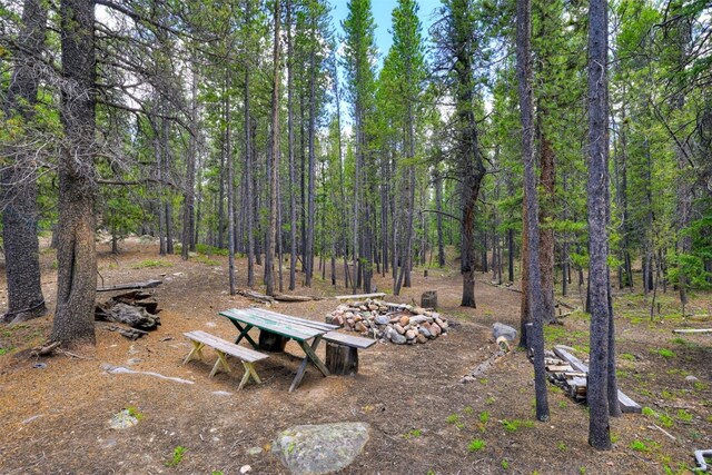 2221 Kootchie Kootchie Rd, Alma, CO 80420 - photo 4