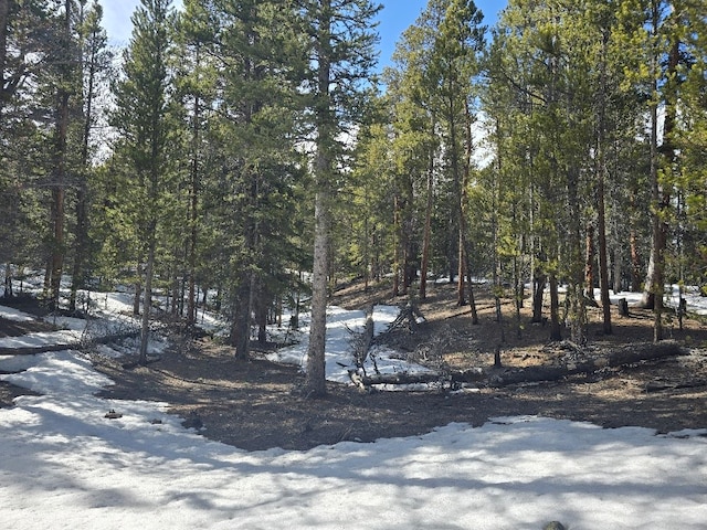 2221 Kootchie Kootchie Rd, Alma, CO 80420
