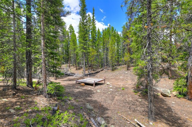 2221 Kootchie Kootchie Rd, Alma, CO 80420 - photo 5