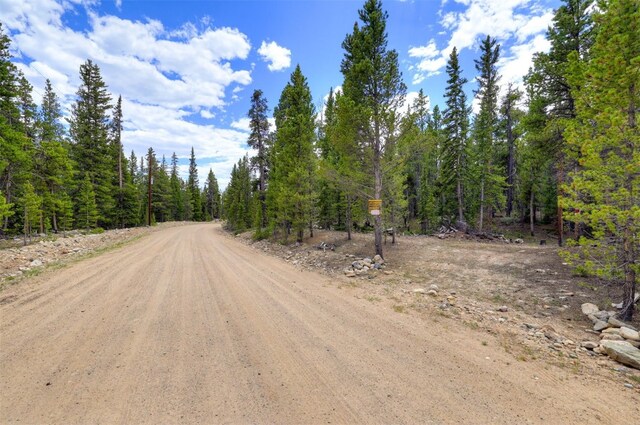 2221 Kootchie Kootchie Rd, Alma, CO 80420 - photo 16