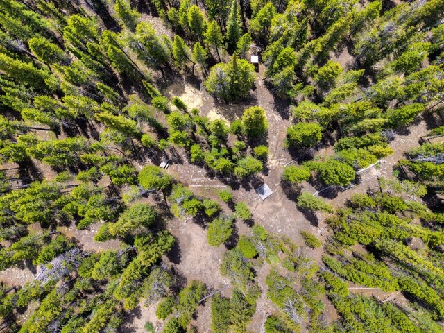 2221 Kootchie Kootchie Rd, Alma, CO 80420 - photo 13