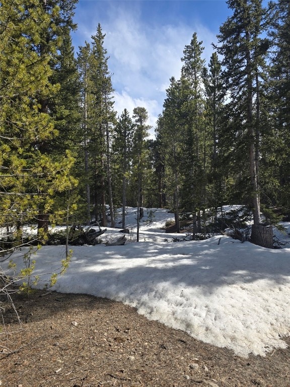 2221 Kootchie Kootchie Rd, Alma, CO 80420