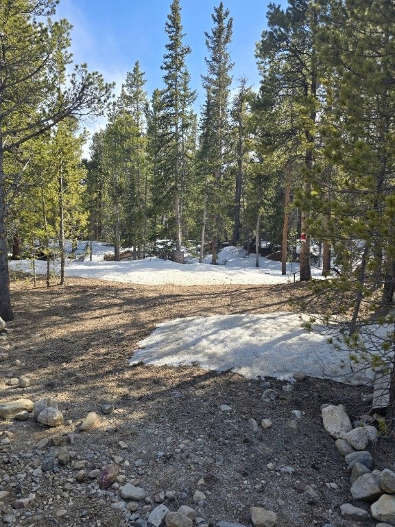 2221 Kootchie Kootchie Rd, Alma, CO 80420