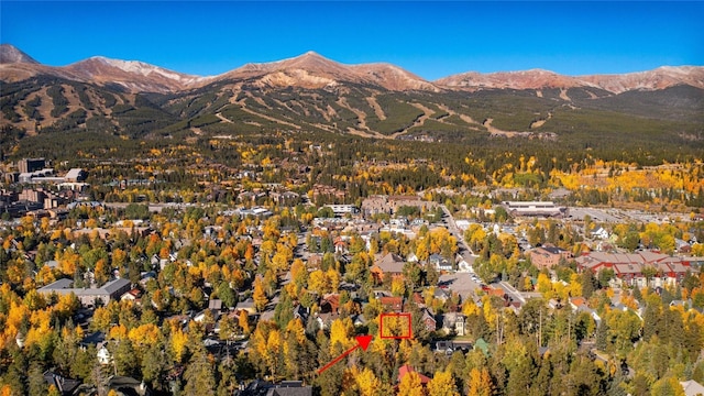 109 S High St, Breckenridge, CO 80424 - photo 34