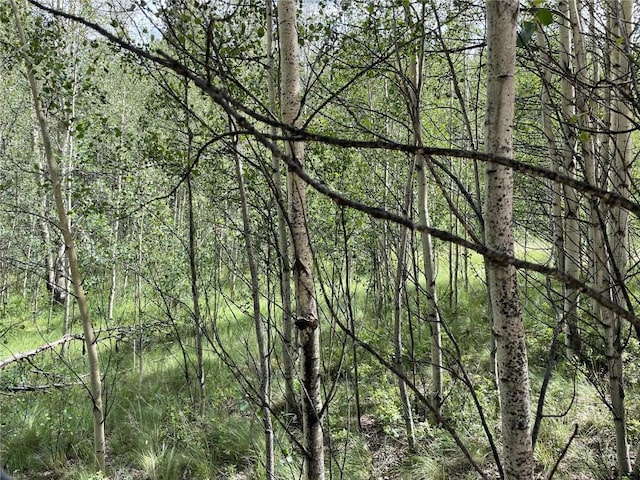 6325 Remington Rd, Como, CO 80432
