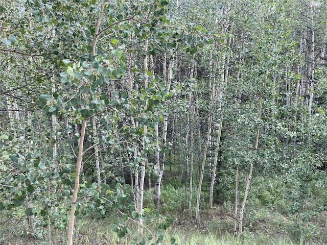 6325 Remington Rd, Como, CO 80432
