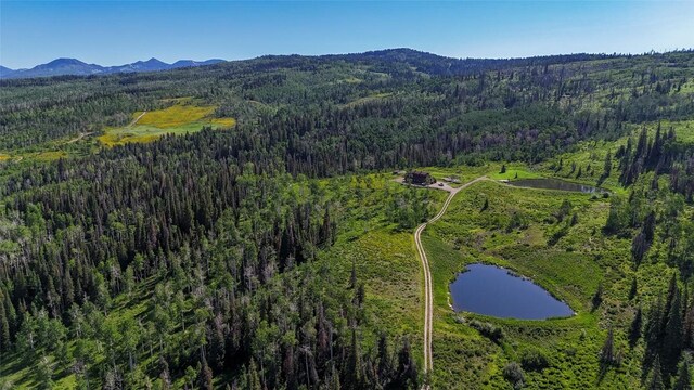 51735 County Road 80, Hayden, CO 81639 - photo 8