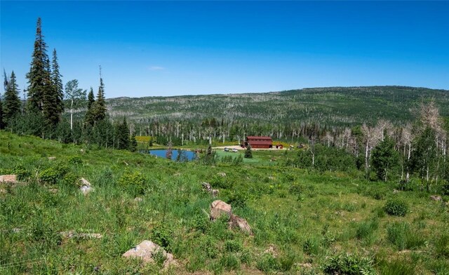 51735 County Road 80, Hayden, CO 81639 - photo 23