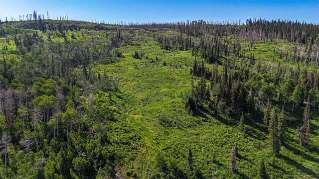 51735 County Road 80, Hayden, CO 81639 - photo 9