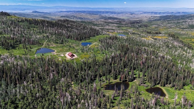 51735 County Road 80, Hayden, CO 81639 - photo 2