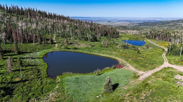 51735 County Road 80, Hayden, CO 81639 - photo 7