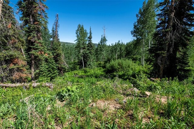 51735 County Road 80, Hayden, CO 81639 - photo 22