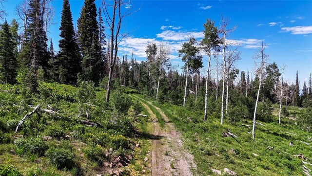 51735 County Road 80, Hayden, CO 81639 - photo 16