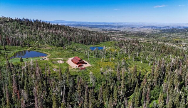 51735 County Road 80, Hayden, CO 81639 - photo 13
