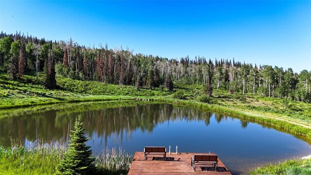 51735 County Road 80, Hayden, CO 81639 - photo 4