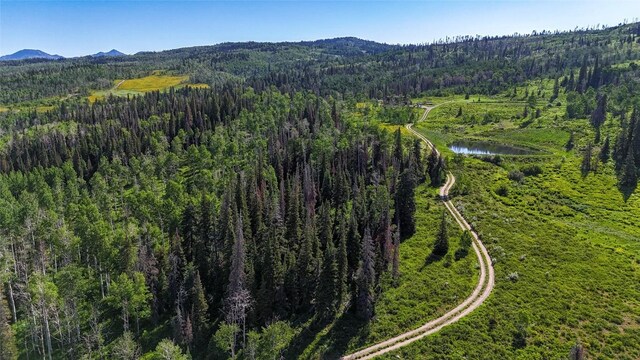 51735 County Road 80, Hayden, CO 81639 - photo 5