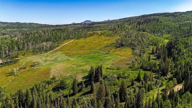 51735 County Road 80, Hayden, CO 81639 - photo 12