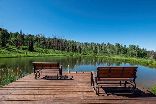 51735 County Road 80, Hayden, CO 81639 - photo 10