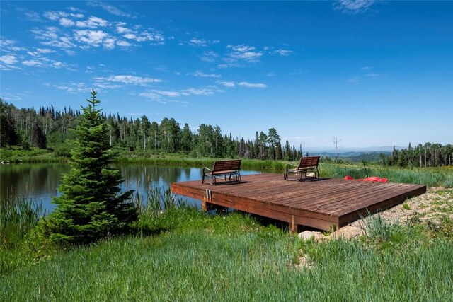 51735 County Road 80, Hayden, CO 81639 - photo 24
