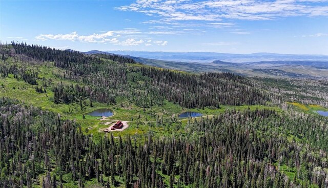 51735 County Road 80, Hayden, CO 81639 - photo 18