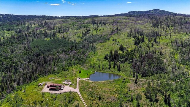 51735 County Road 80, Hayden, CO 81639 - photo 19