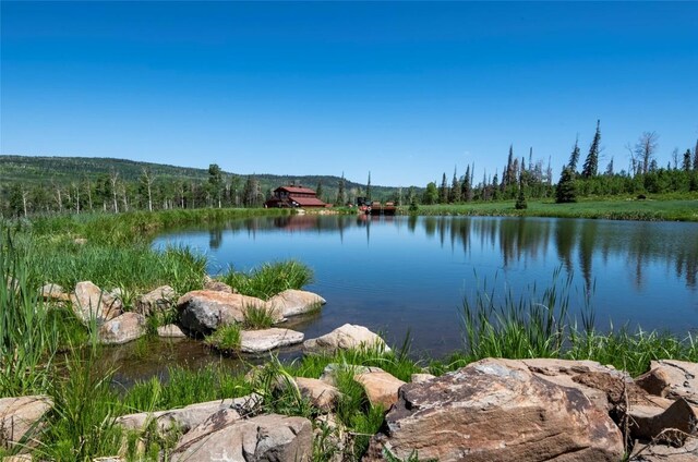 51735 County Road 80, Hayden, CO 81639 - photo 26