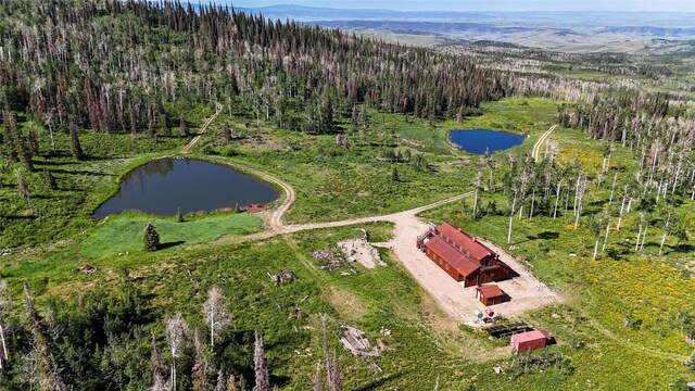 51735 County Road 80, Hayden, CO 81639 - photo 14