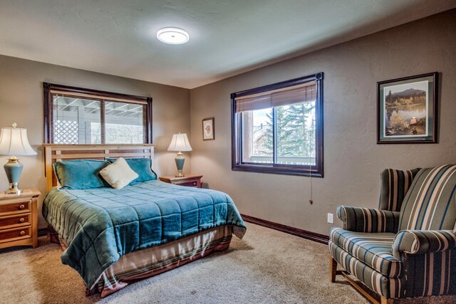 185 S Fuller Placer Rd, Breckenridge, CO 80424 - carpeted bedroom with baseboards