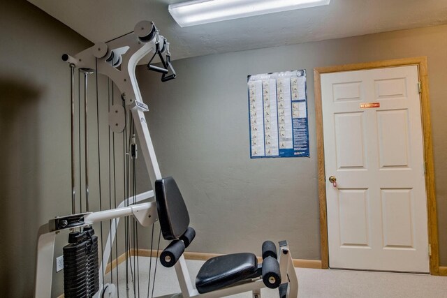185 S Fuller Placer Rd, Breckenridge, CO 80424 - exercise area featuring baseboards and carpet floors