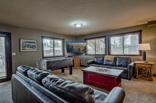 185 S Fuller Placer Rd, Breckenridge, CO 80424 - living room with light colored carpet