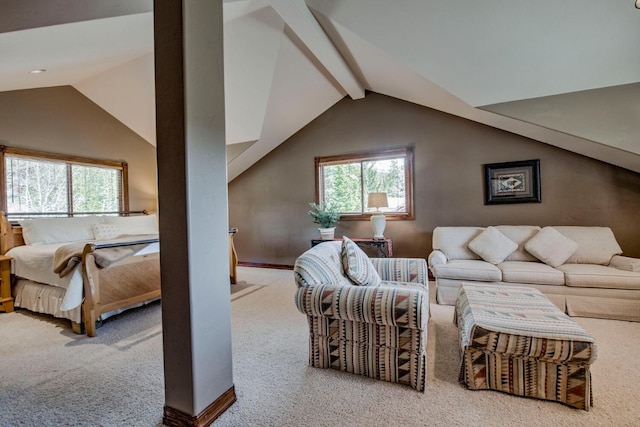 185 S Fuller Placer Rd, Breckenridge, CO 80424 - living area featuring carpet and plenty of natural light