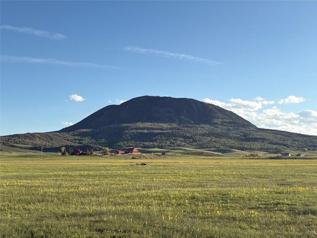 25490 County Road 52e, Steamboat Springs, CO 80487 - photo 4