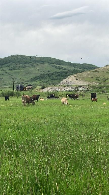 25490 County Road 52e, Steamboat Springs, CO 80487 - photo 36