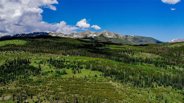 293/323 Sherwood Trl, Breckenridge, CO 80424 - photo 29