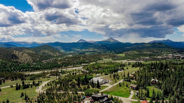 293/323 Sherwood Trl, Breckenridge, CO 80424 - photo 7