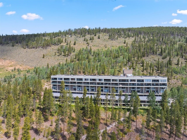 22097 Saints John Rd Unit 2518, Keystone, CO 80435 - photo 39