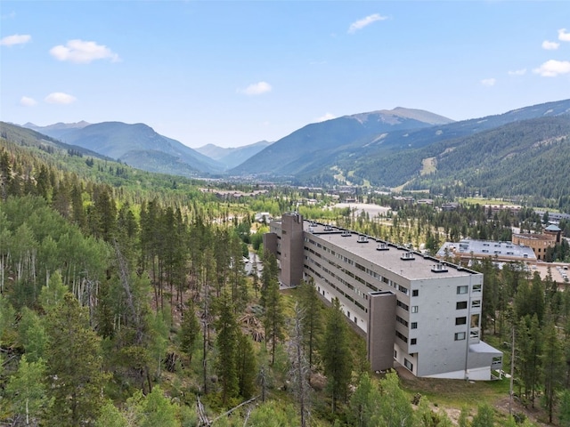 22097 Saints John Rd Unit 2518, Keystone, CO 80435 - photo 2