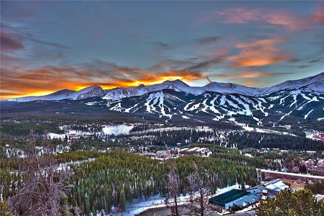 350 Stan Miller Unit 302, Breckenridge, CO 80424 - mountain view with a forest