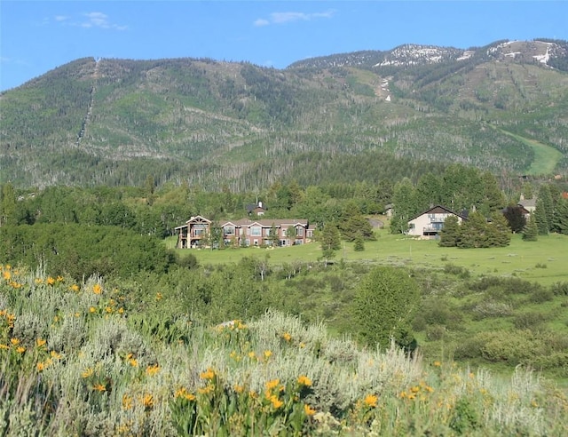 1200 Anglers Dr, Steamboat Springs, CO 80487 - photo 49