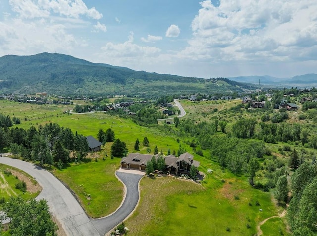1200 Anglers Dr, Steamboat Springs, CO 80487 - photo 1