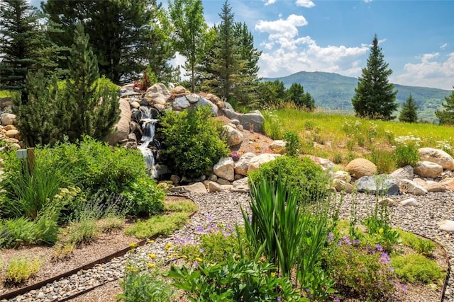 1200 Anglers Dr, Steamboat Springs, CO 80487 - photo 48