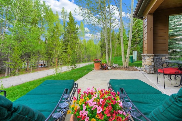 180 Robin Dr Unit 180, Silverthorne, CO 80498 - view of patio