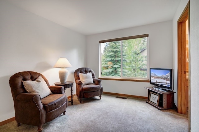 180 Robin Dr Unit 180, Silverthorne, CO 80498 - living area featuring baseboards and carpet