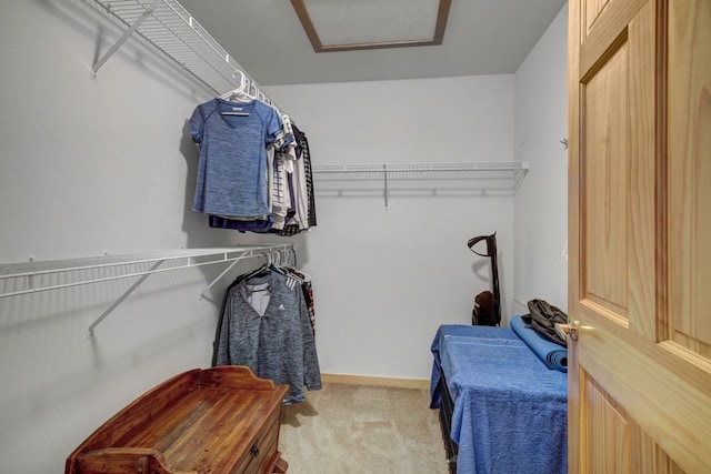 180 Robin Dr Unit 180, Silverthorne, CO 80498 - walk in closet featuring carpet and attic access