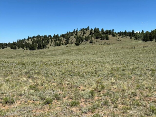 3454 Fitzsimmons Rd, Hartsel, CO 80449